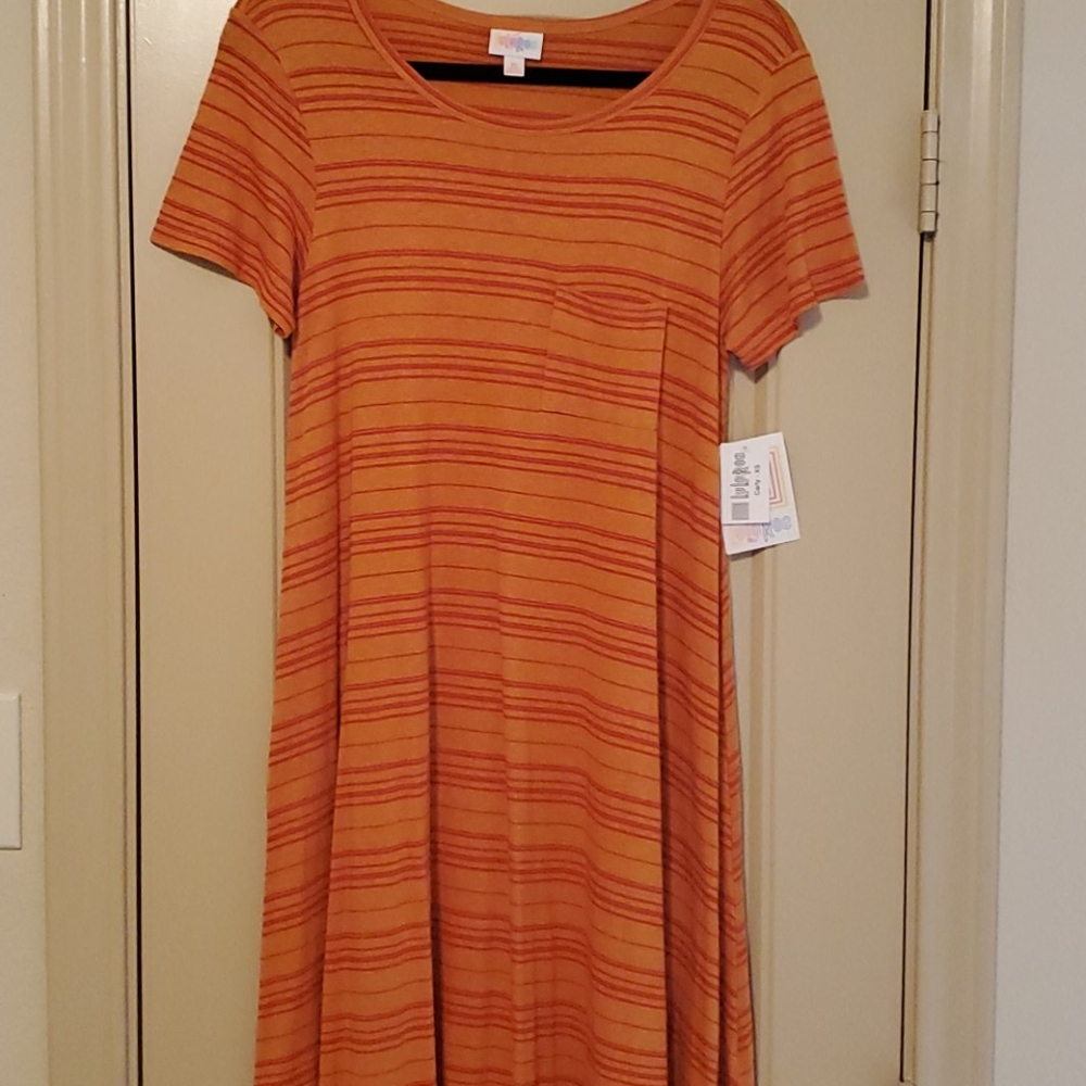 LuLaRoe Carly Dress